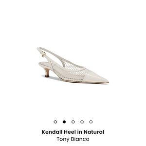 Tony Bianco Kendall Heel